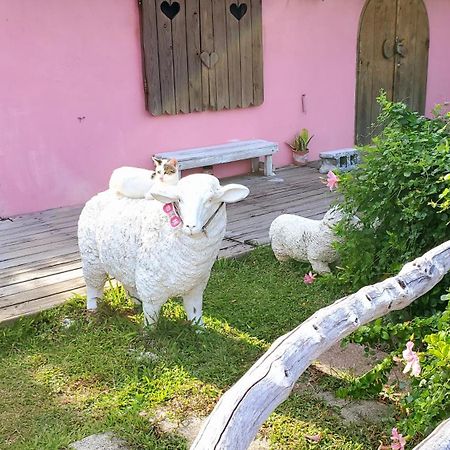 Whitiedoggie Villa Cape Eluanbi Buitenkant foto