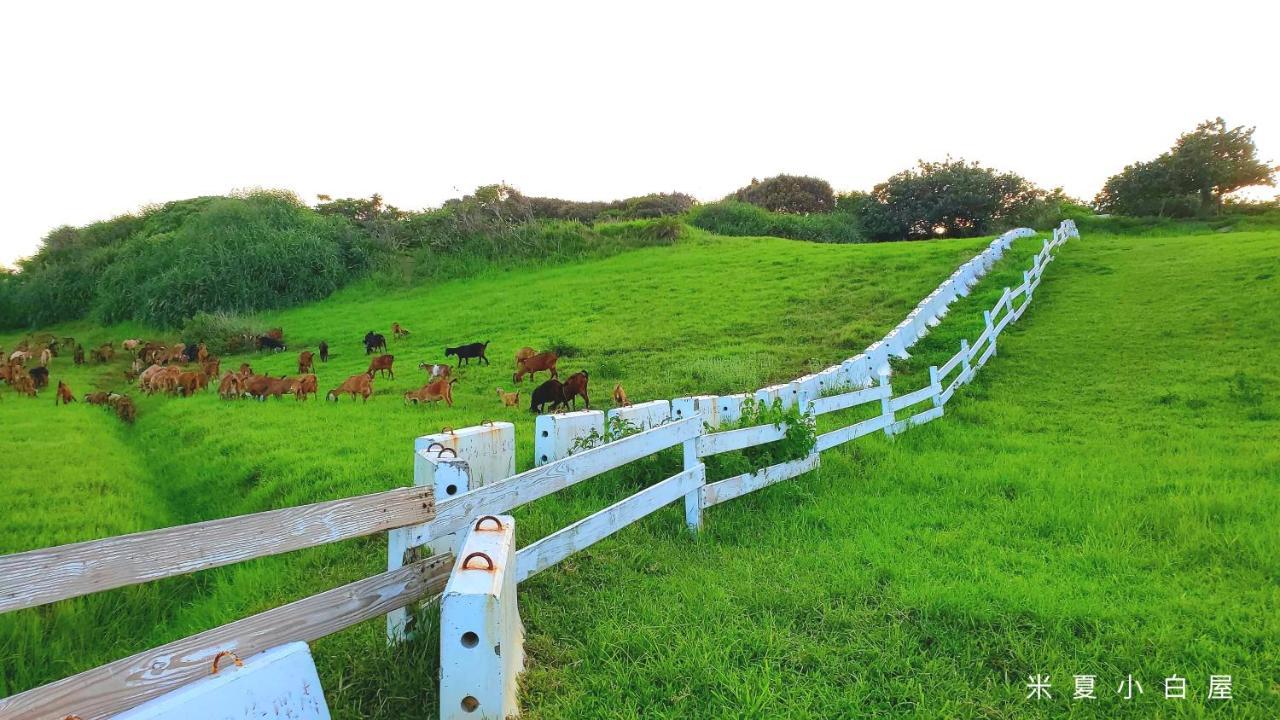 Whitiedoggie Villa Cape Eluanbi Buitenkant foto